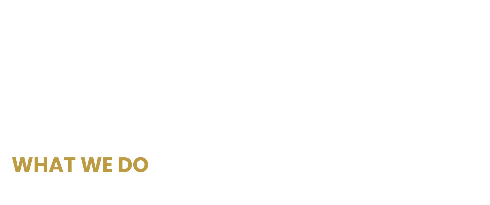 業務内容